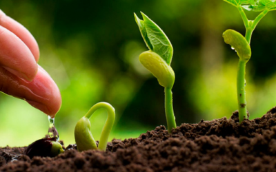 Self-Care in the Time of COVID-19 Webinar