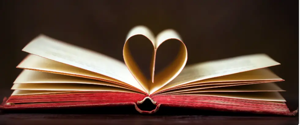 Embracing the Single Life: Valentine’s Edition